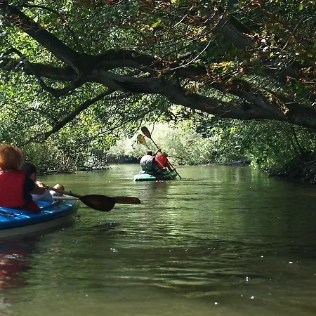 W Drawsku Appartement *