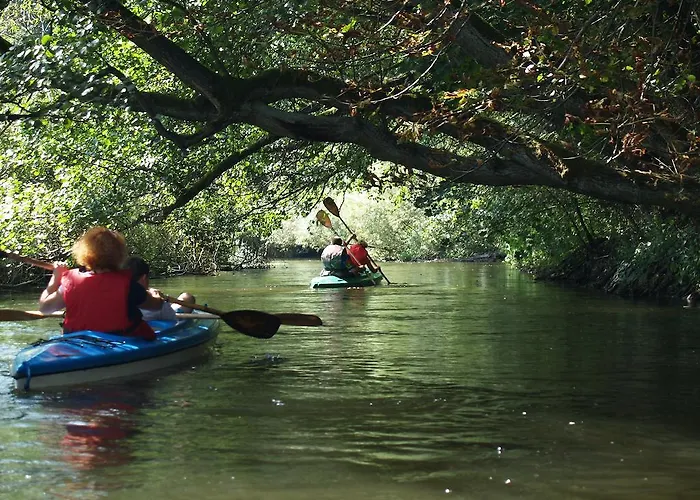 W Drawsku Apartment *